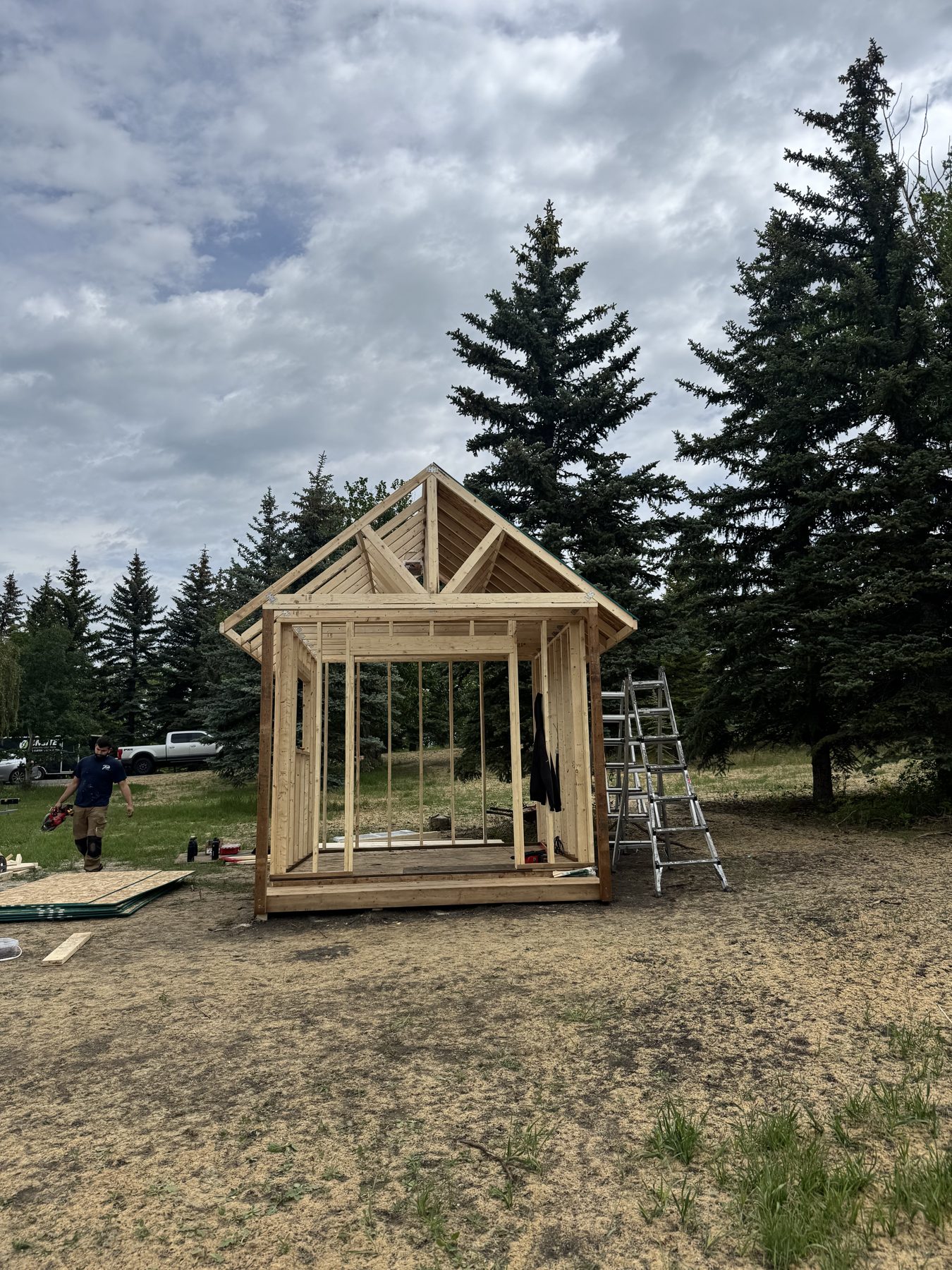 Wood framing for a shed, roof trusses visible, ladder on site — 101 Lariat Loop, Calgary