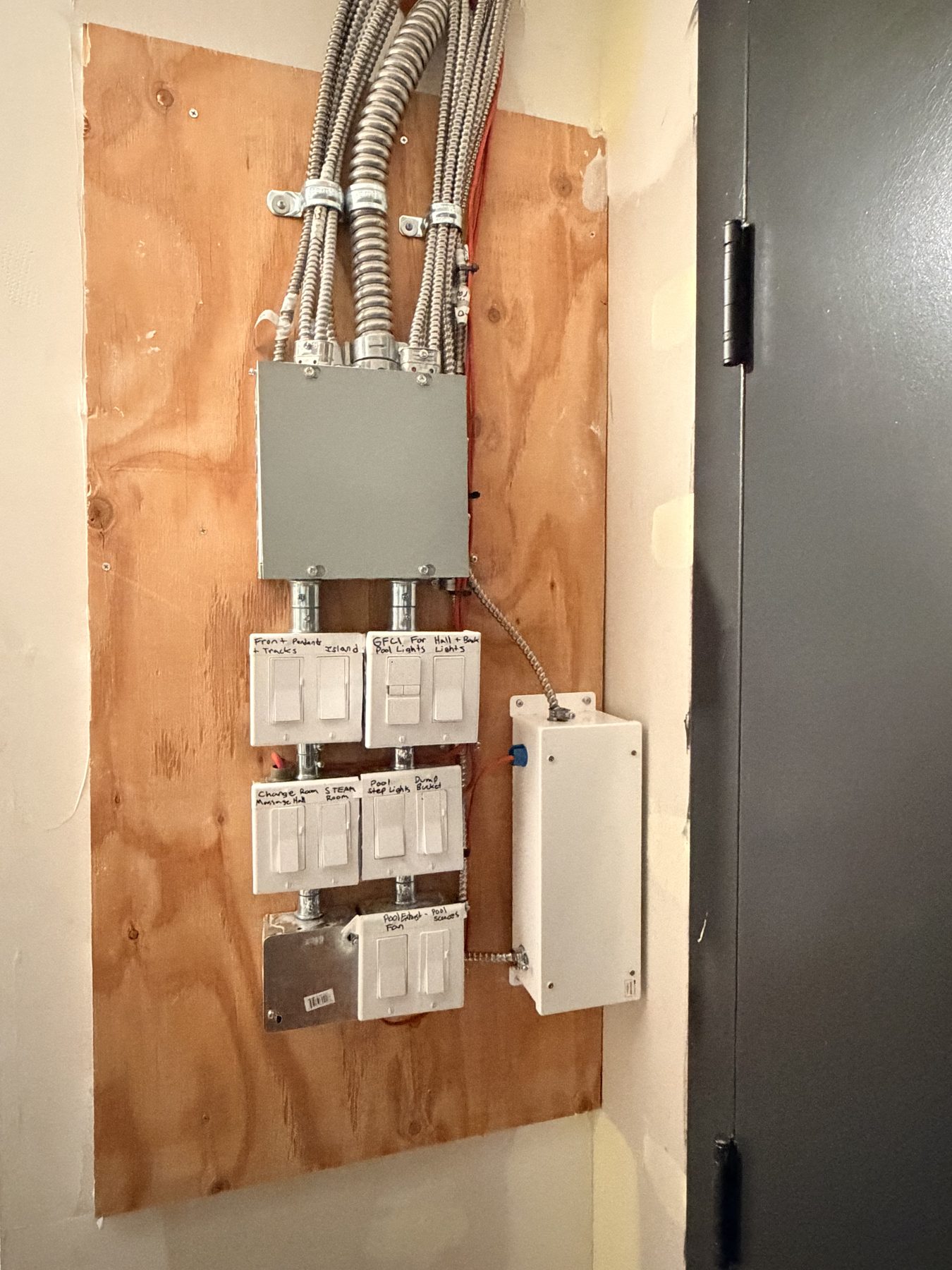 Electrical panel and labeled light switches on plywood wall — Cedar Steam and Spa (Trinity Hills)