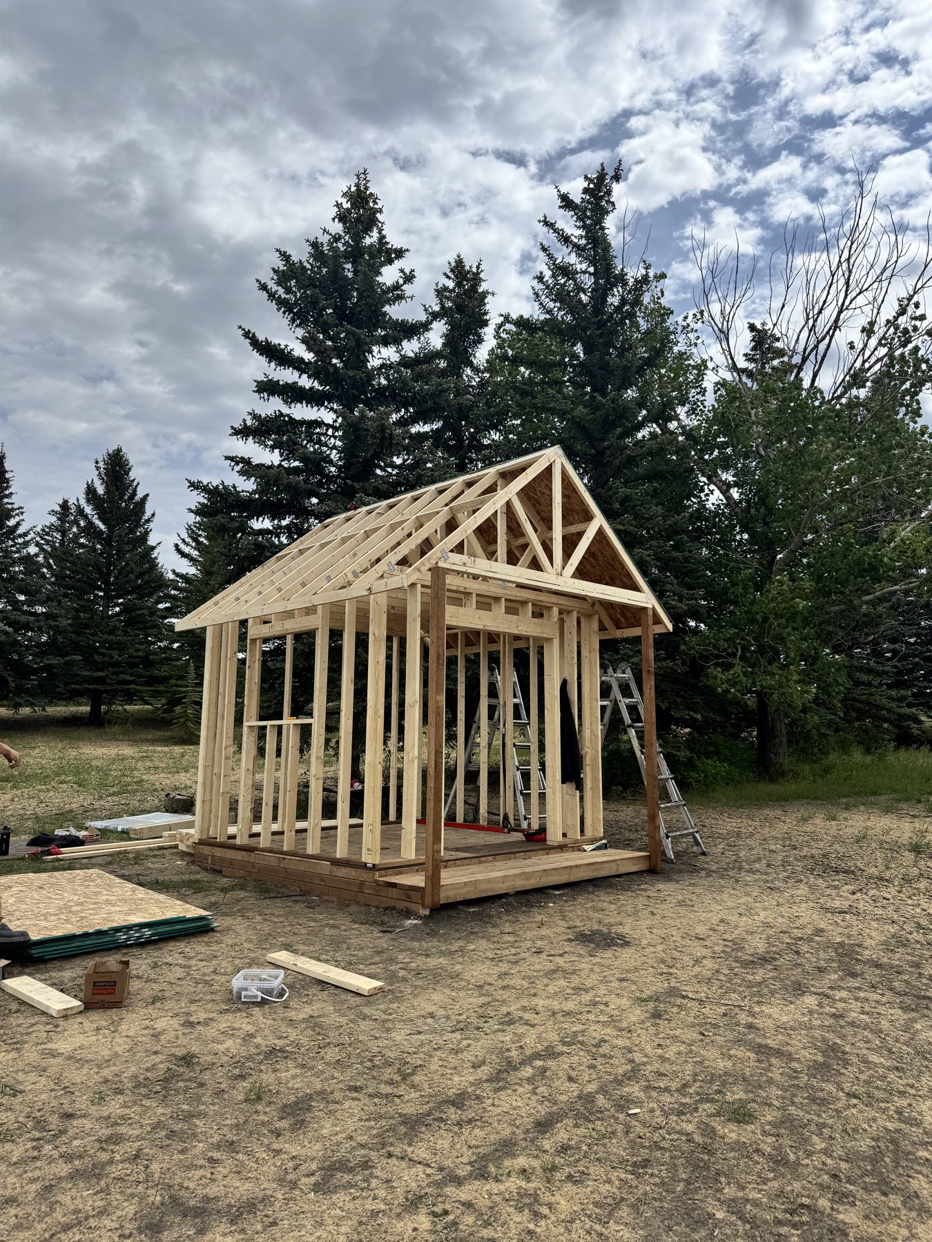 Wooden shed framing under construction with roof rafters and ladders — 101 Lariat Loop, Calgary