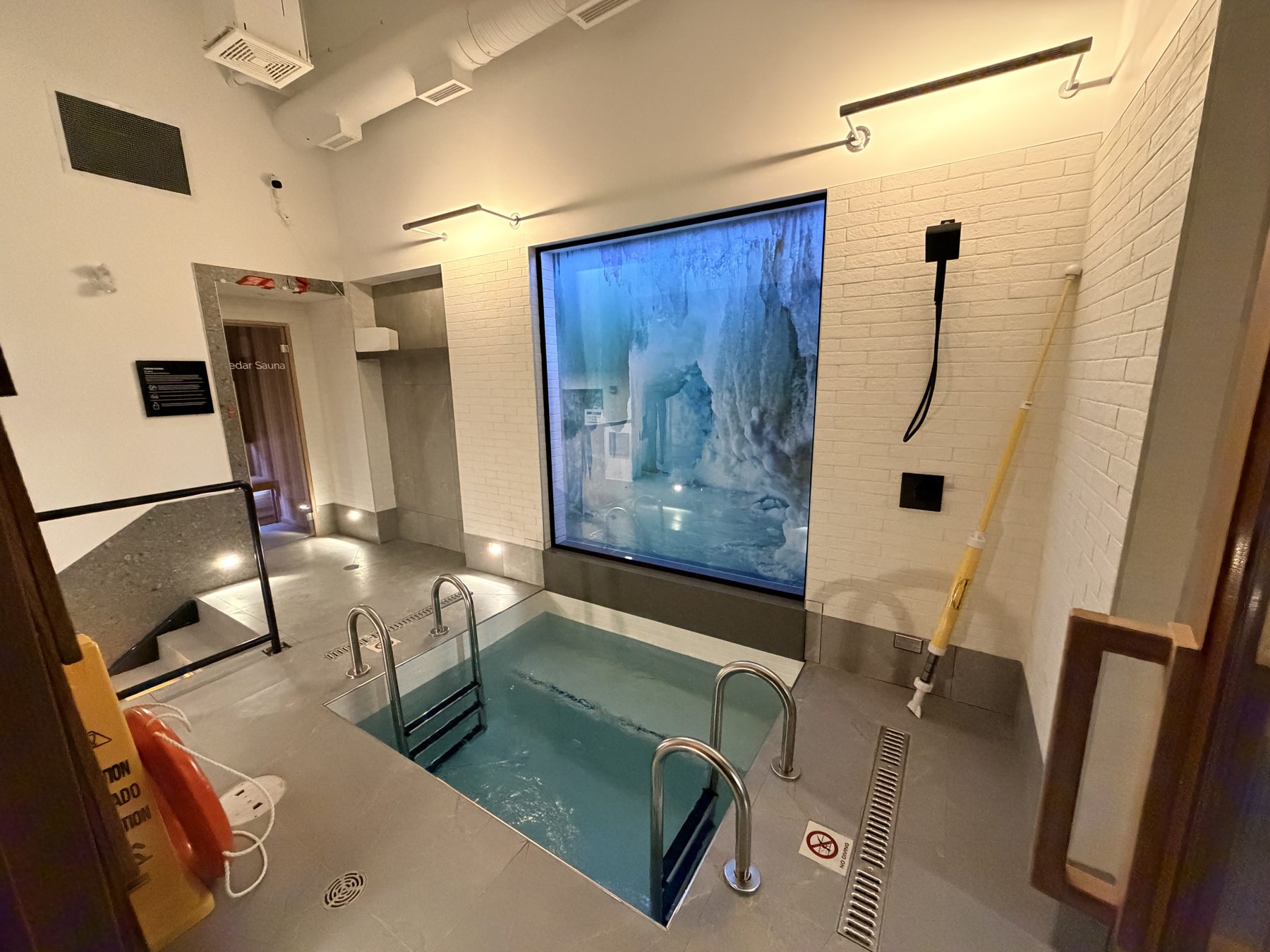 Small pool area with ladder, ice cave mural, and sauna entrance — Cedar Steam and Spa (Trinity Hills)