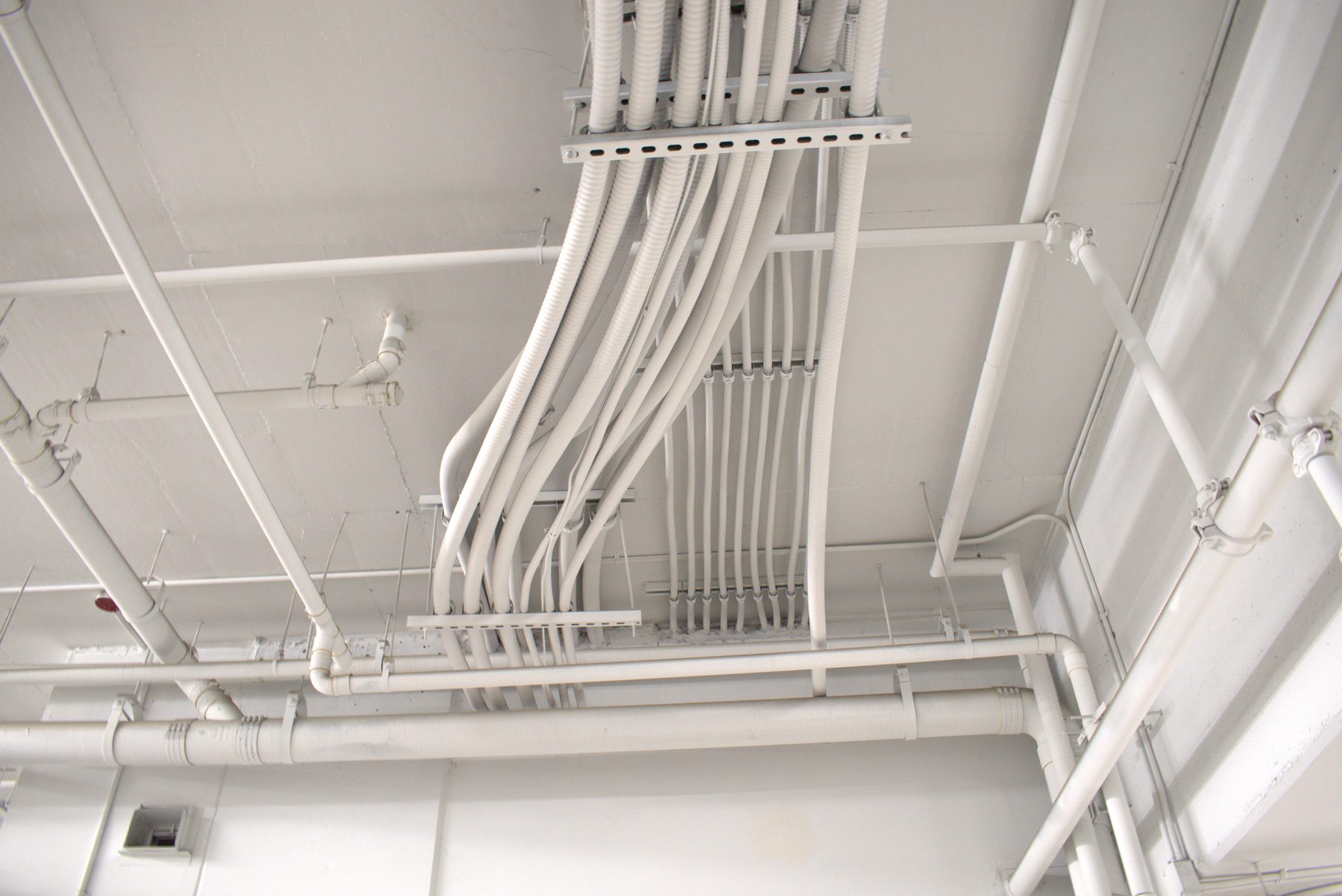 White conduit bundles and pipes on a painted ceiling undergoing installation — Big Buns (Bowness)