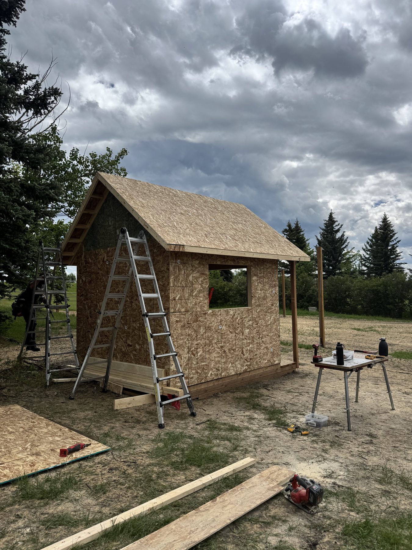 Wood-framed shed under construction with OSB walls and roof sheathing — 101 Lariat Loop, Calgary