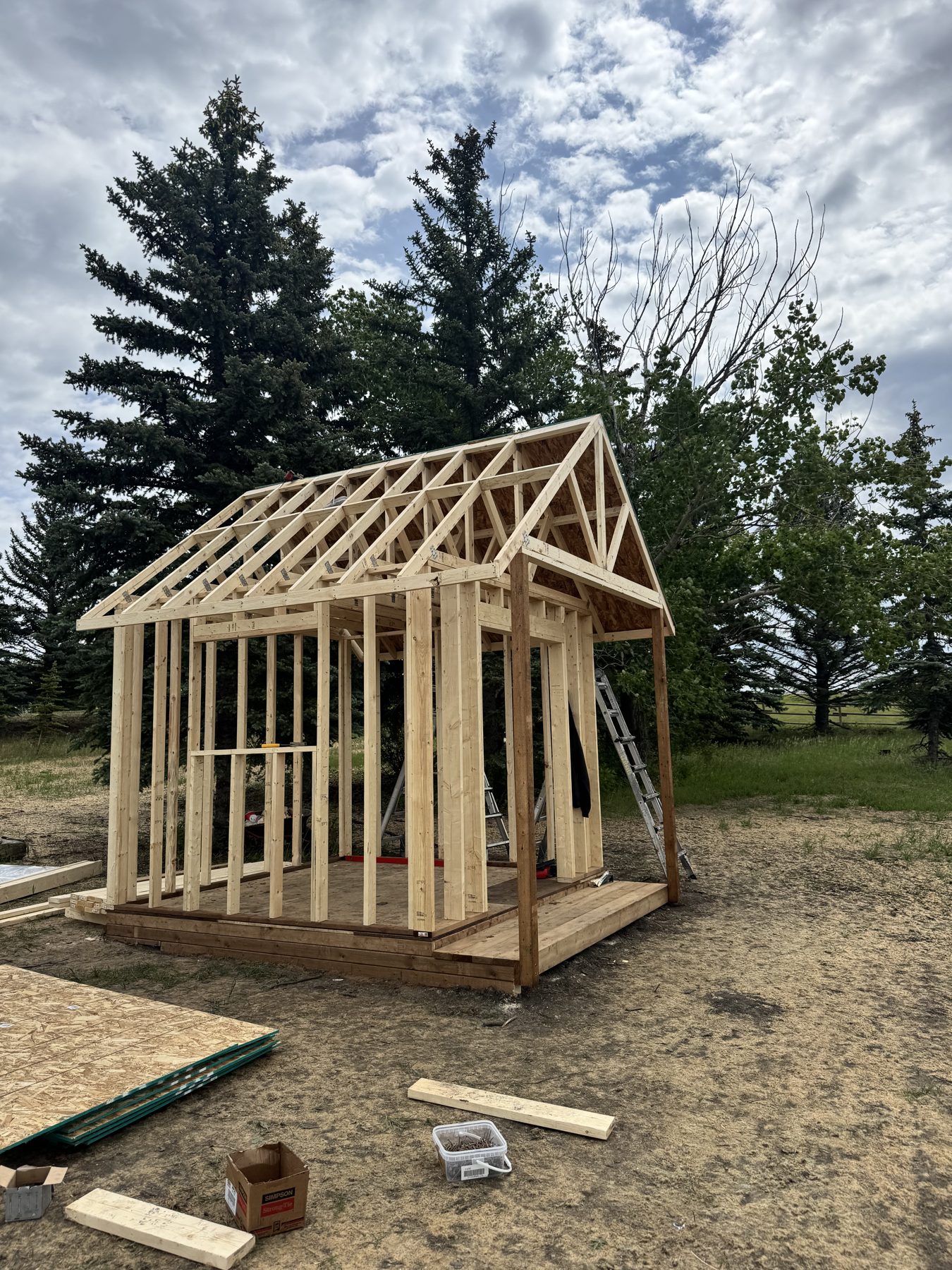 Shed framing project with wooden studs, roof trusses, and deck joists — 101 Lariat Loop, Calgary