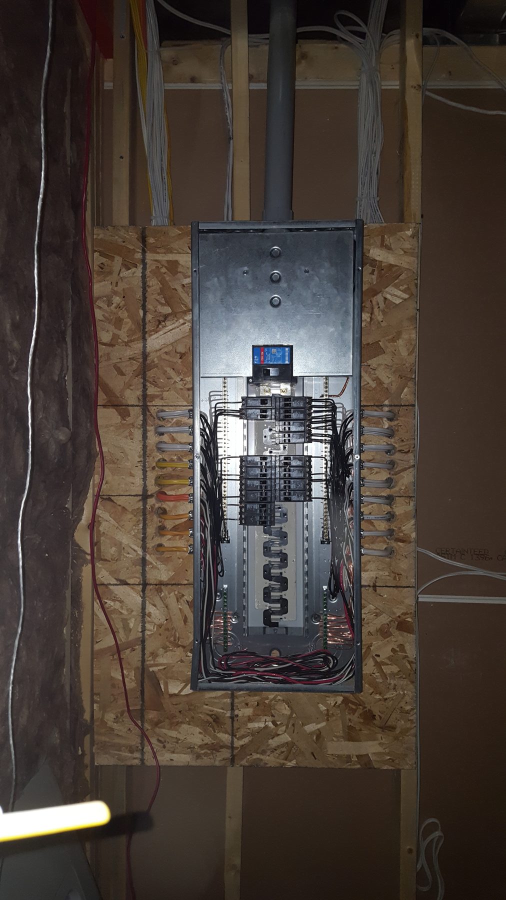 Electrical panel wired and mounted on plywood subfloor — Briar Hill