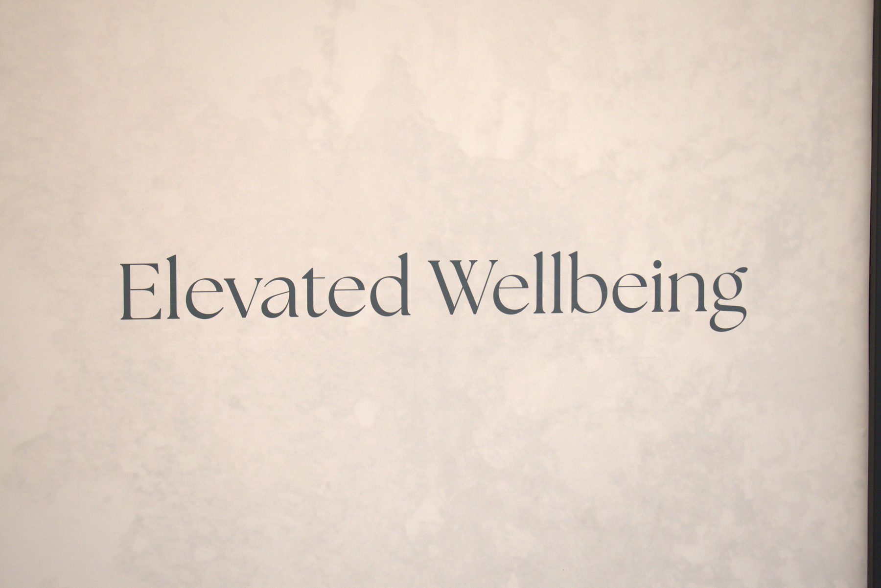 Text "Elevated Wellbeing" on a textured, neutral wall surface — Leela Spa (Bankers Hall)