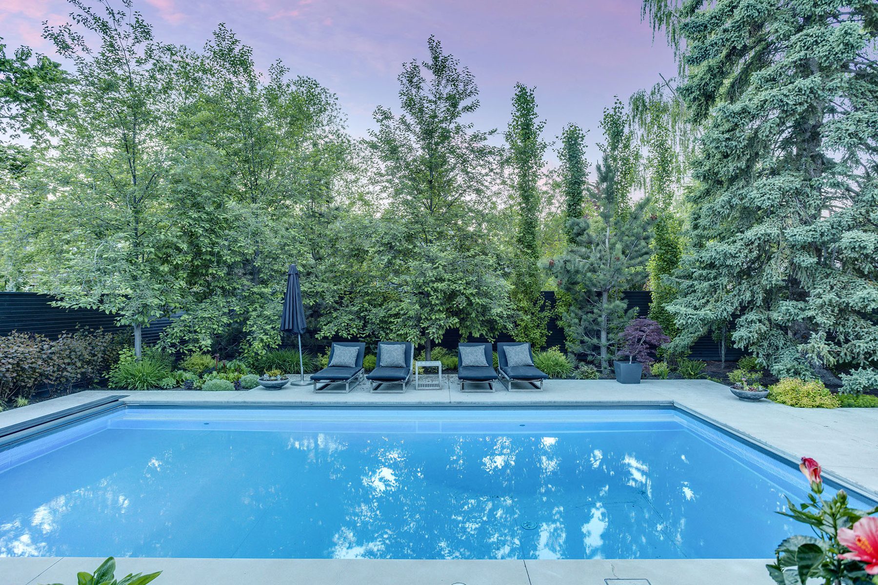 Modern backyard renovation with a clean-lined pool and lounge chairs — Modern Family