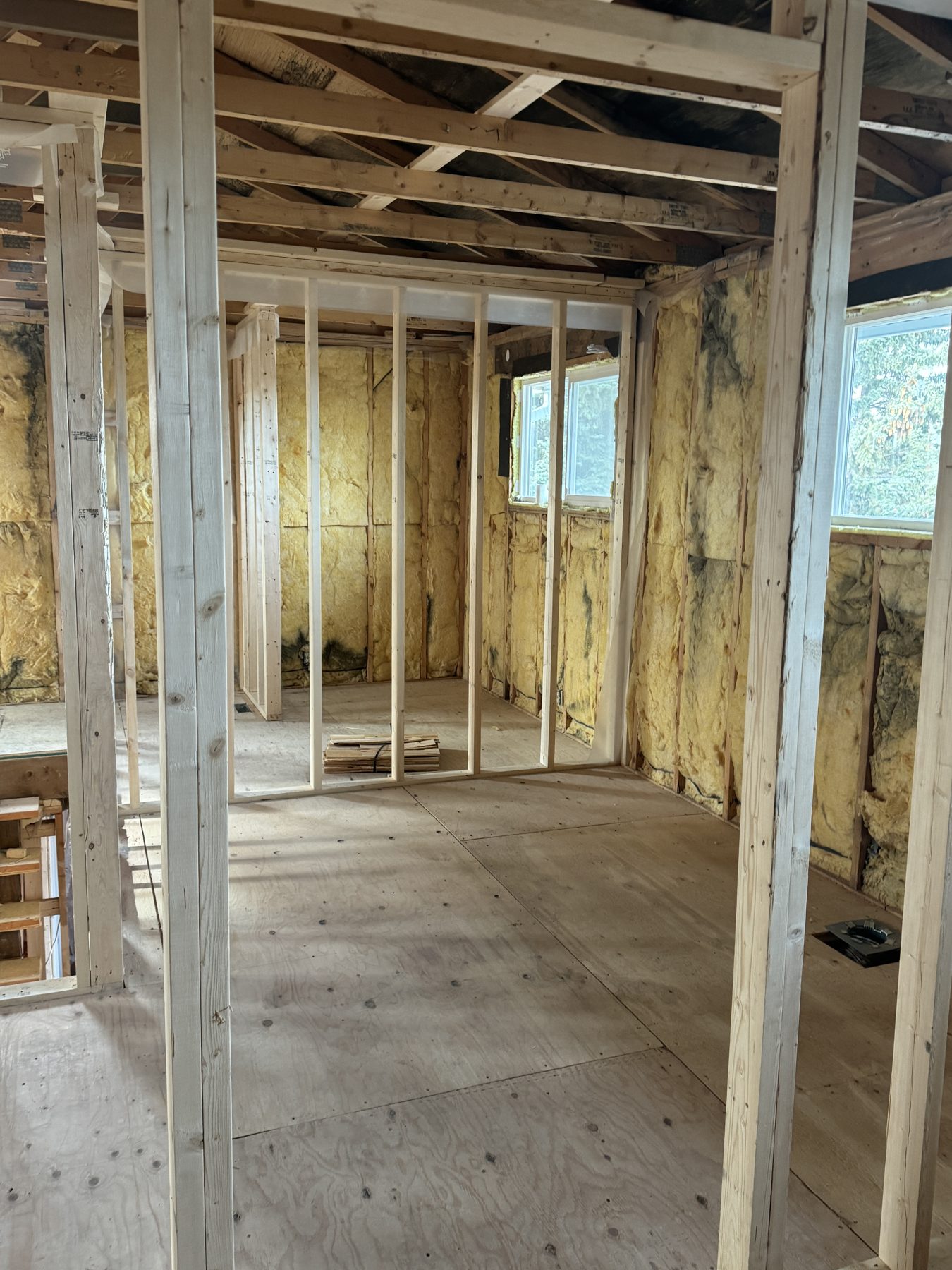 Wood-framed room, insulated walls, plywood subfloor, unfinished stage — 188 Lake Adams Crescent SE, Calgary