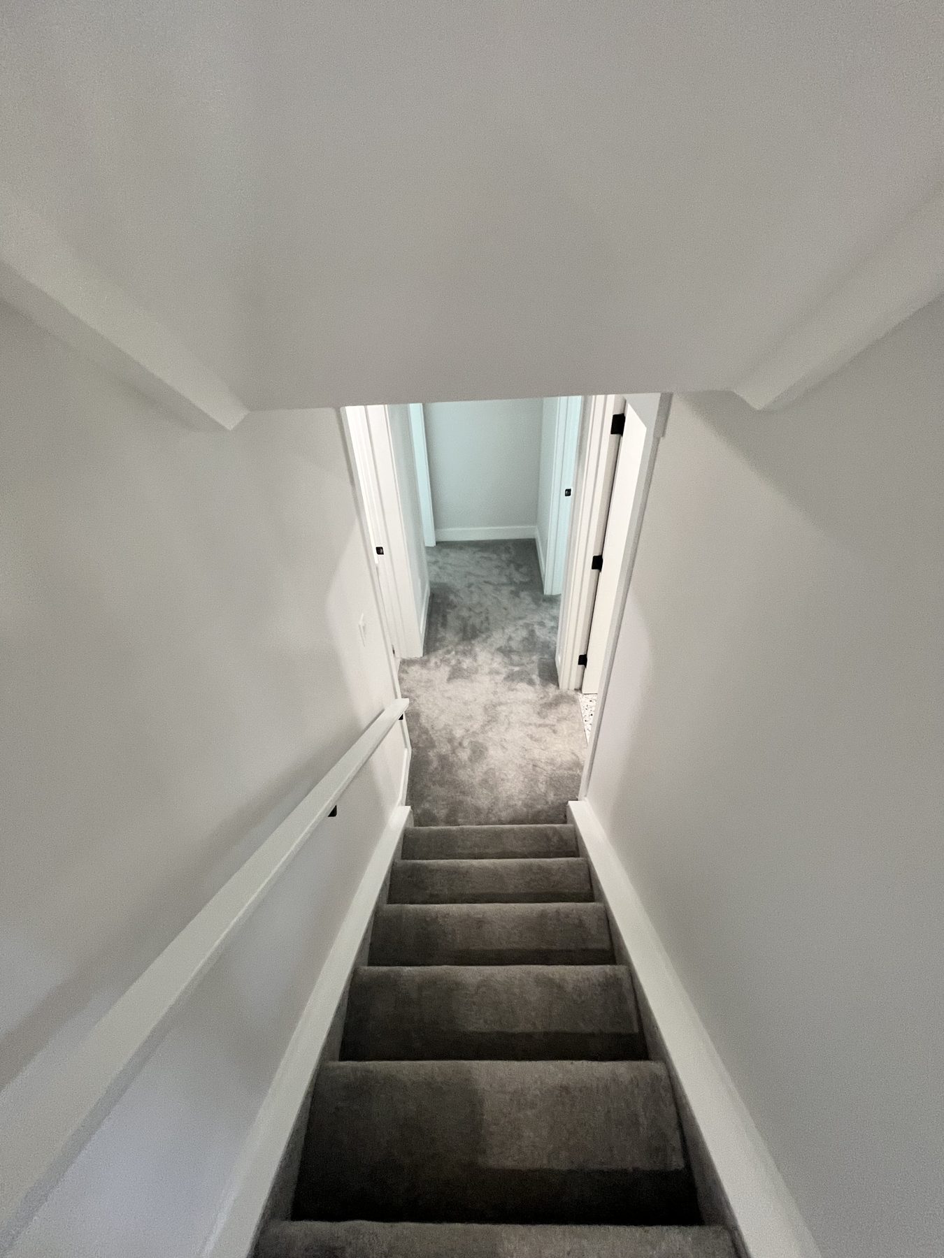 Newly carpeted stairs leading to a hallway with white trim — 720 Lake Twintree Crescent SE, Calgary