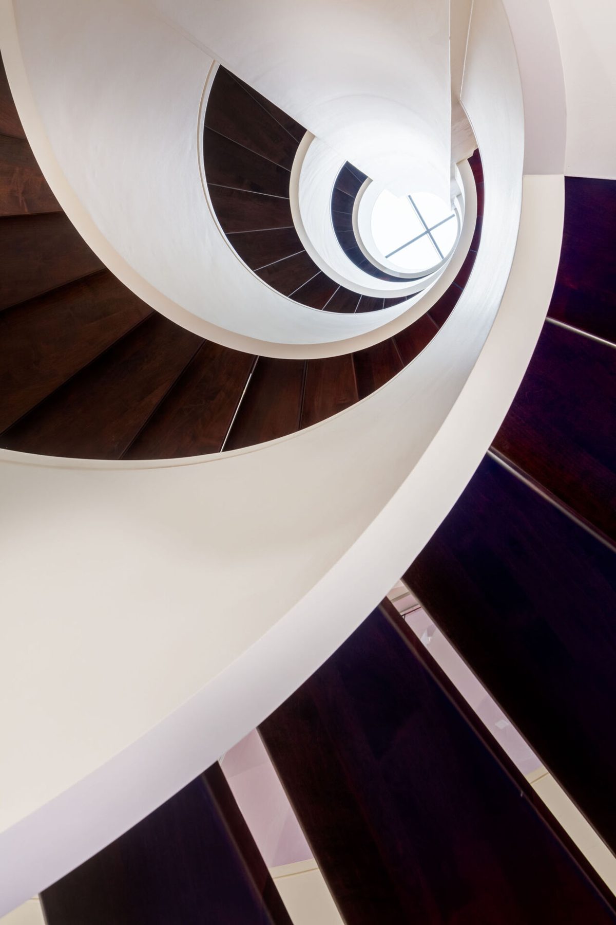 Modern spiral staircase with dark wood treads and white railing, skylight above — Timeless Form
